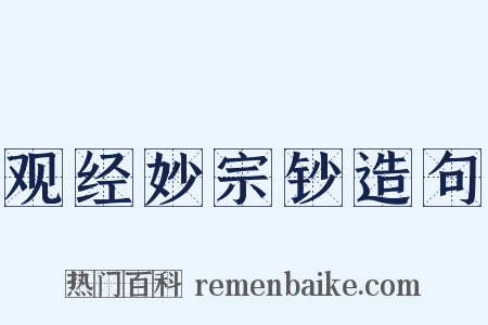 观经妙宗钞造句是什么意思的图片